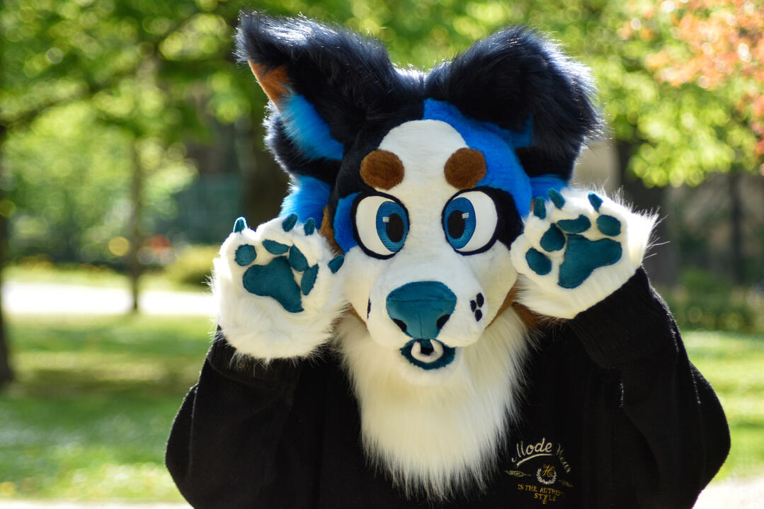 Benny (premade) photo: Marty