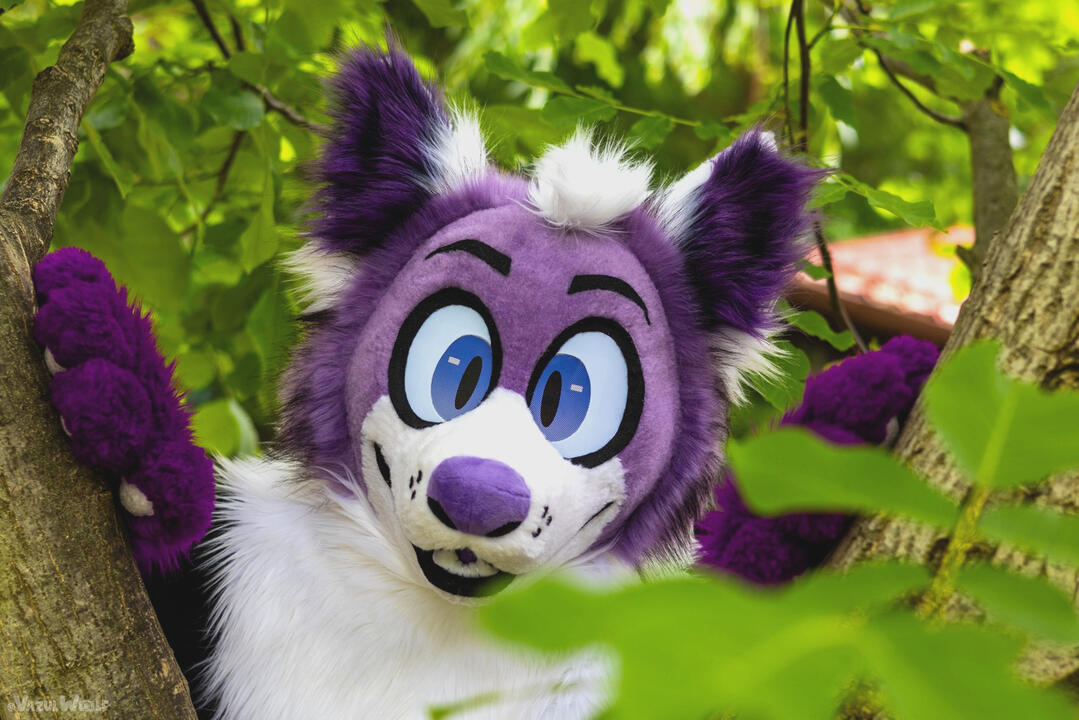 Lucky photo: Vazulwolf